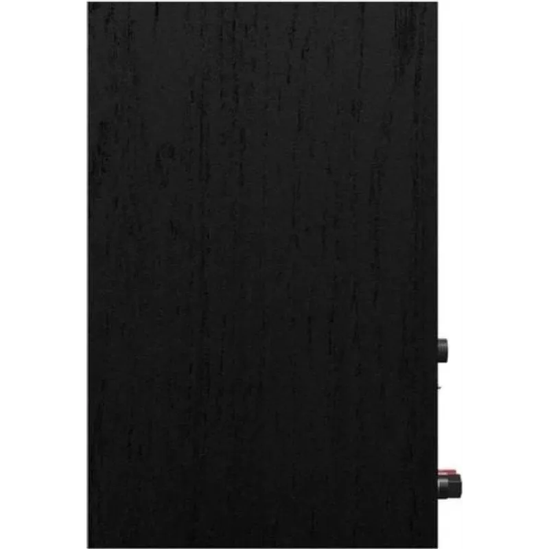 Skaļruņi Klipsch R-40PM 100 dB