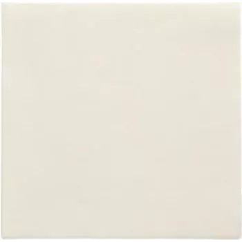 PAPSTAR salvetes Daily Collection šampanietis 2-kārtu 16.0 x 16.0 cm 150 gab. (89637)