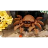 LEGO ICONS 10366 Tropu akvārijs