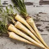 Sēklas – pastinaks (Pietruszka Korzeniowa Alba) 3 g iepakojums no Seklos LT
