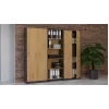 Topeshop OLIV 2D ANT/ART KPL biroja grāmatu skapis