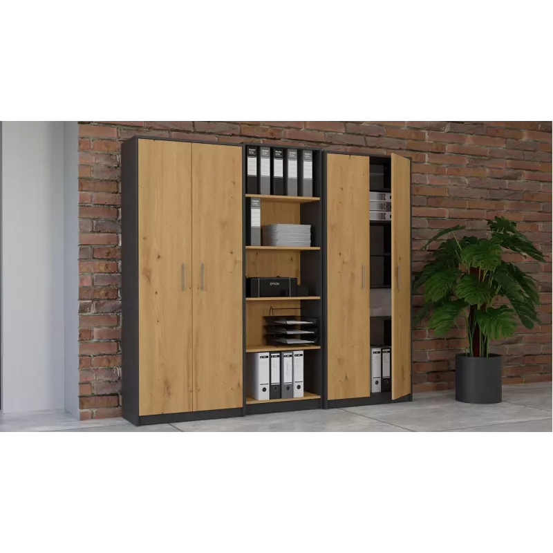 Topeshop OLIV 2D ANT/ART KPL biroja grāmatu skapis