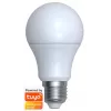Viedā spuldze Denver SHL-340