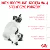 Sausā kaķu barība Royal Canin Mother & Babycat 400 g — mājputnu gaļa, grūsnām un laktējošām kaķenēm un jauniem kaķēniem