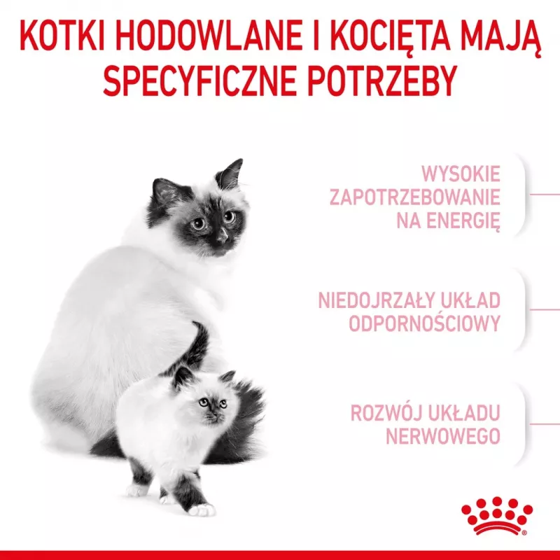 Sausā kaķu barība Royal Canin Mother & Babycat 400 g — mājputnu gaļa, grūsnām un laktējošām kaķenēm un jauniem kaķēniem