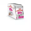 Mitrā suņu barība Royal Canin Exigent Meat Universal 12×85 g — mājputnu gaļa, pieaugušiem, izvēlīgiem suņiem