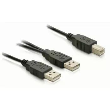 USB kabelis DeLOCK USB-B/USB-A kabelis 1 m melns