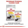 ROYAL CANIN Mini Dermacomfort - sausā barība pieaugušiem mazo šķirņu suņiem ar jutīgu, kairinājumam pakļautu ādu - 3 kg