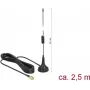 Āra antena DeLOCK 89613
