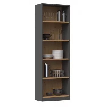 Topeshop R60 ANT/ART biroja grāmatu skapis