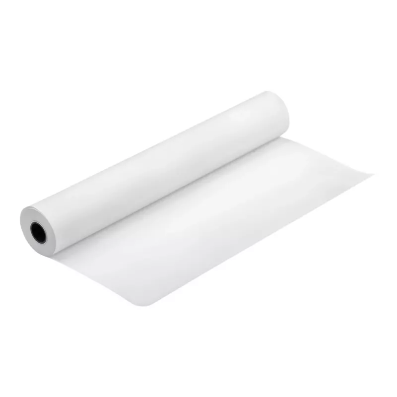Epson Production Canvas Matte, 610mm x 12,2m, 12.2 m, 61 cm, 61 cm (24 collas), matēts, 320 g/m²