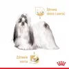 ROYAL CANIN Shih Tzu Adult mitrā suņu barība Pâté 12x85 g