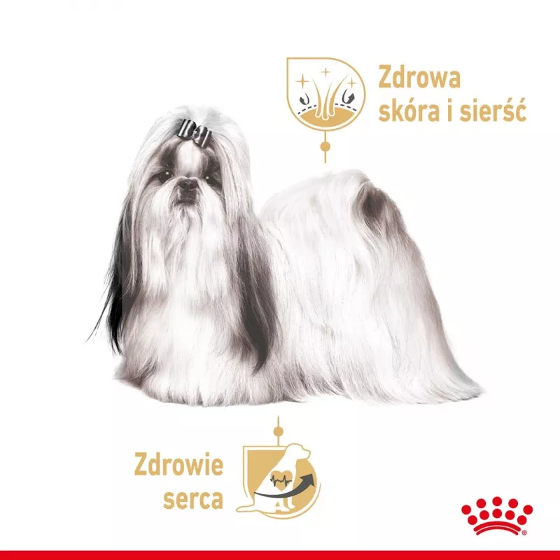 ROYAL CANIN Shih Tzu Adult mitrā suņu barība Pâté 12x85 g