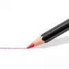 Krāsu zīmuļi Staedtler 149C C24