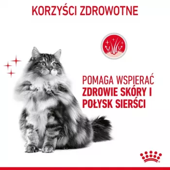 Royal Canin Hair & Skin Care Adult sausā kaķu barība, 2 kg