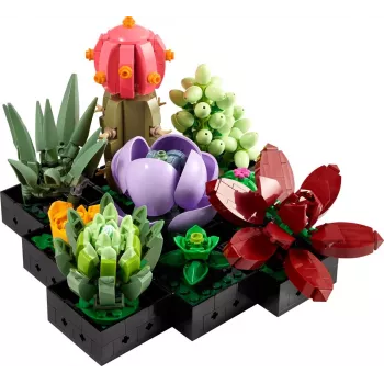 Lego Icons 10309 Sukulenti