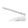 Synergy 21 LED Flex Strip 5050 - 60 RGB DC24V + RGB-W vienas mikroshēmas silts balts IP68