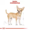 Sausā suņu barība Royal Canin Chihuahua Adult 1.5 kg — vista, 28% olbaltumvielu, mazo/īpaši mazo šķirņu suņiem