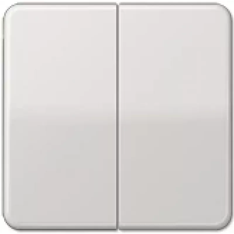 Jung CD 595 LG (CD595LG)