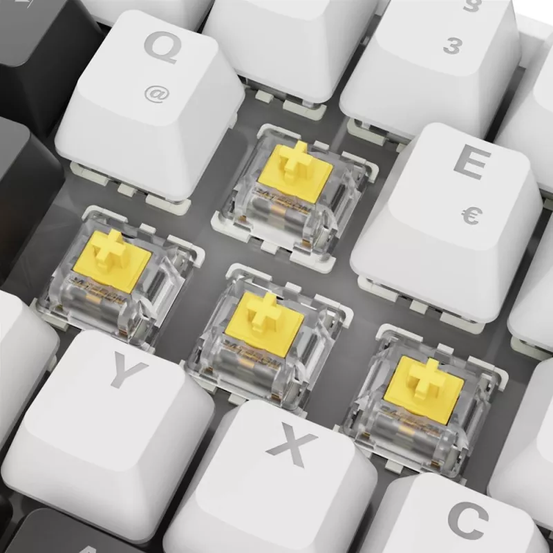 Sharkoon SGK50 S4 tastatūra Mājas USB QWERTZ Vācu Balta RGB LED 60%