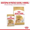 Sausā suņu barība Royal Canin Pomeranian Adult 3 kg — mazšķirnes formula pieaugušiem Pomerānijas špicam