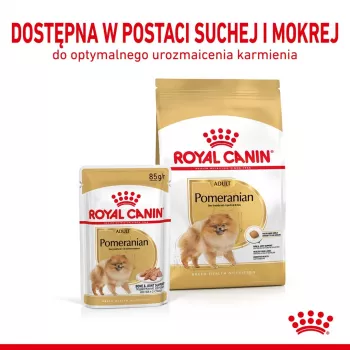 Sausā suņu barība Royal Canin Pomeranian Adult 3 kg — mazšķirnes formula pieaugušiem Pomerānijas špicam