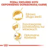 Sausā kaķu barība Royal Canin Persian 4 kg — pieaugušiem persiešiem, vista, 30% olbaltumvielu, 22% tauku