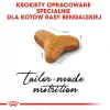 Sausā kaķu barība Royal Canin Bengal Adult 10 kg — vista, 40% olbaltumvielu, 18% tauku