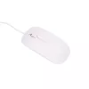 Extralink Stacionārs dators Xiaomi 24\ All-In-One PC Business | All-In-One PC | Intel i5 11300H, 16GB DDR4, 512GB SSD, tastatūra, pele, tīmekļa kamera