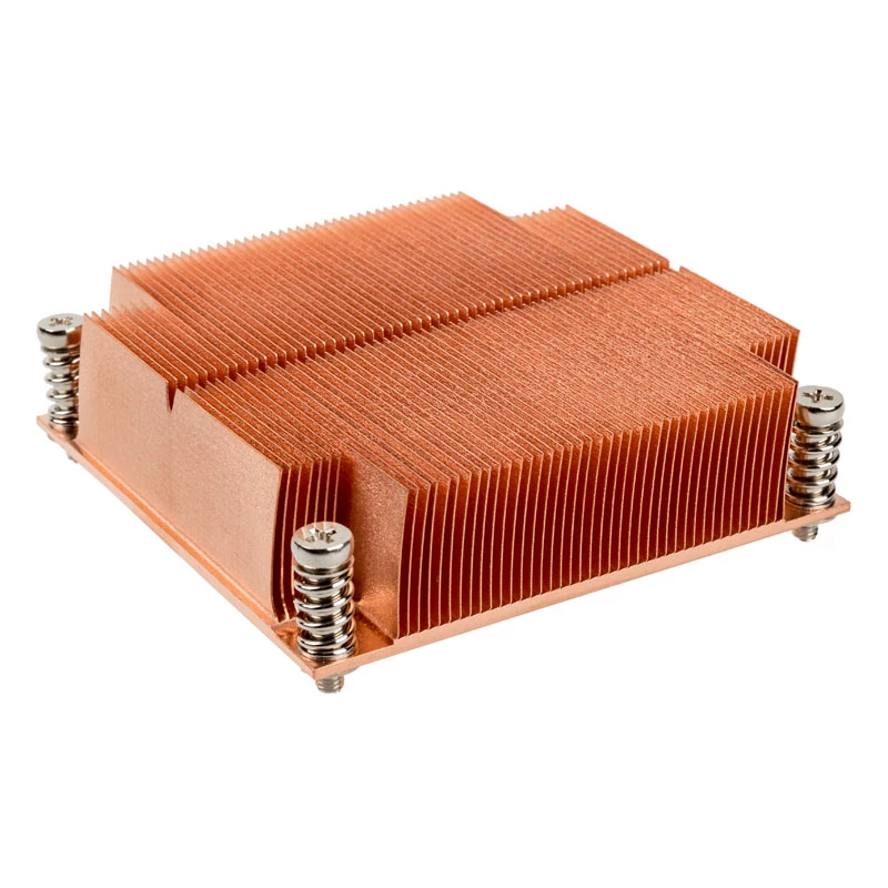 Silverstone SST-XE01-2011 serveris