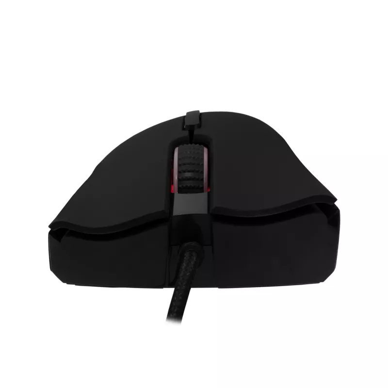 Pele Baracuda BGM-081 Lobster melna USB