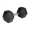 Gumijots čuguna hantele HEX 20 kg REBEL ACTIVE