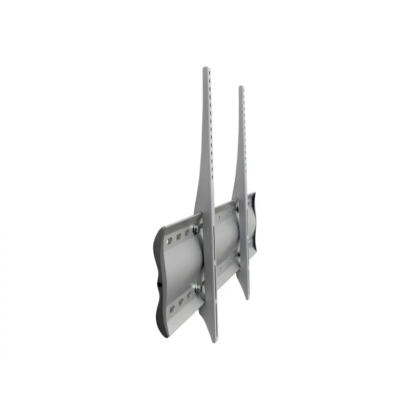 Ergotron 60-602-003 Sudraba