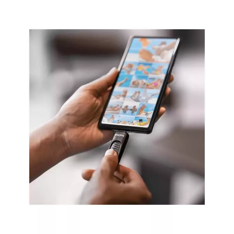 USB zibatmiņa SanDisk 128 GB USB Type-C SDCZ480-128G-G46
