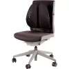 KRĒSLA MUGURAS BALSTS/BACK ANGEL 8026401 FELLOWES