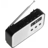 Pārnēsājamais ciparu radio Adler AD 1907 — AM/FM, ciparu uztvērējs, modinātājs, USB-C, 600 mAh baterija, LCD, 20 atmiņas vietas, teleskopiskā antena