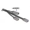 DeLOCK 64303 USB 3.2 Gen 1 Type-C centrmezgls 5000 Mbit/s Pelēks