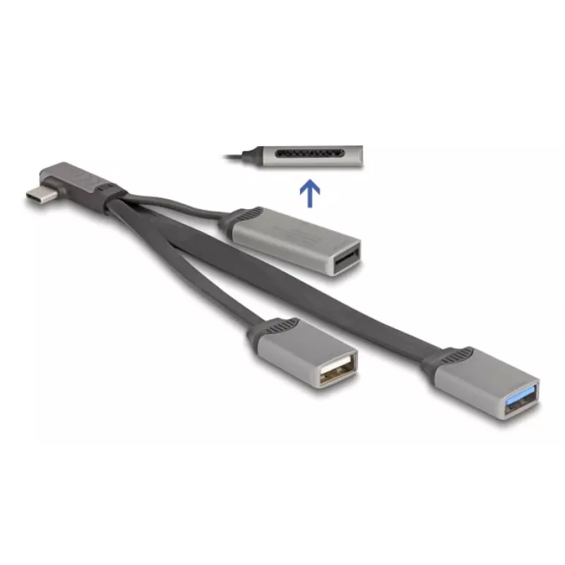DeLOCK 64303 USB 3.2 Gen 1 Type-C centrmezgls 5000 Mbit/s Pelēks