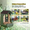 EASYPIX Bird Camera Easypix Bird Cam 10123 1080p HD Night Vision