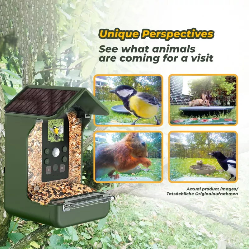 EASYPIX Bird Camera Easypix Bird Cam 10123 1080p HD Night Vision