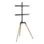 TV statīva piederumu grīdas statīvs 32-65/TRIPOD TVS-65S-01 Gembird