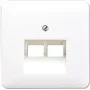 Sienas kontaktligzda RJ-45 JUNG CD 569-2 UA WW balta — termoplasts