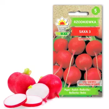 Saxa 3 redīsu sēklas, 10g dārzeņu sēklu paka