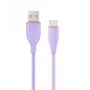 USB kabelis Gembird CC-USB2S-AMCM-1.5M-P 1,5 m