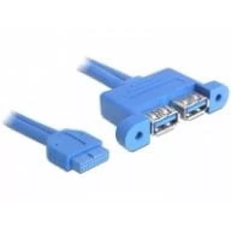 USB kabelis DeLOCK 82941 USB 3.2 Gen 1 0,45 m 2 x USB A zila