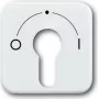 BUSCH JAEGER centrālais vāciņš aws f.Key Switch 2557 SLPZ-21