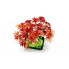 LEGO BOTANICALS 10348 Japāņu sarkanā kļavas bonsai koks