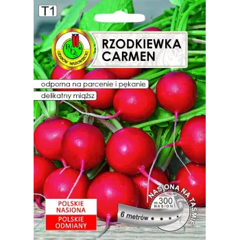 Sēklas Apte Rzodkiewka CARMEN — poļu redīsu šķirne audzēšanai visu gadu