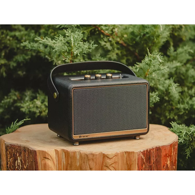 Stereo Portable Speaker Tracer M30 TWS BT Melns, Gold