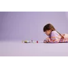 LEGO® Friends Sunsuņu kopšanas auto, spēļu komplekts 42635